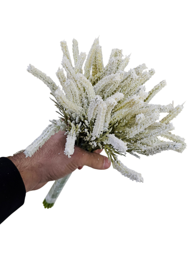 لاڤێندەری سپی