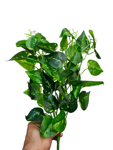 Greenery