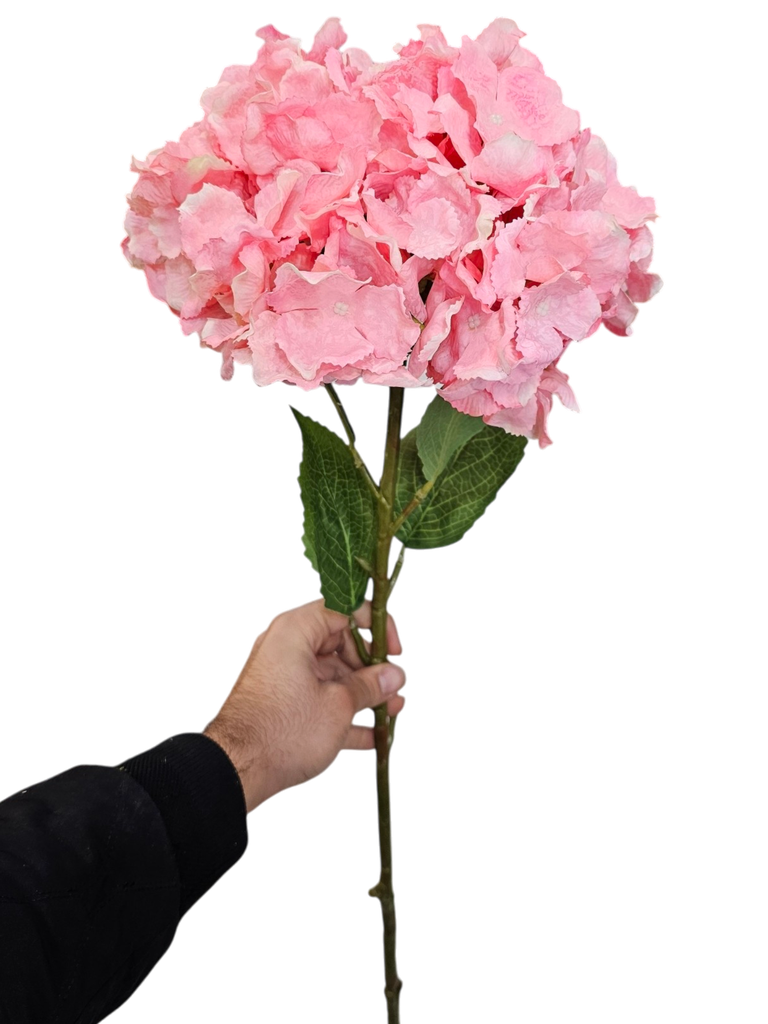 وردي كرة الهدرانج