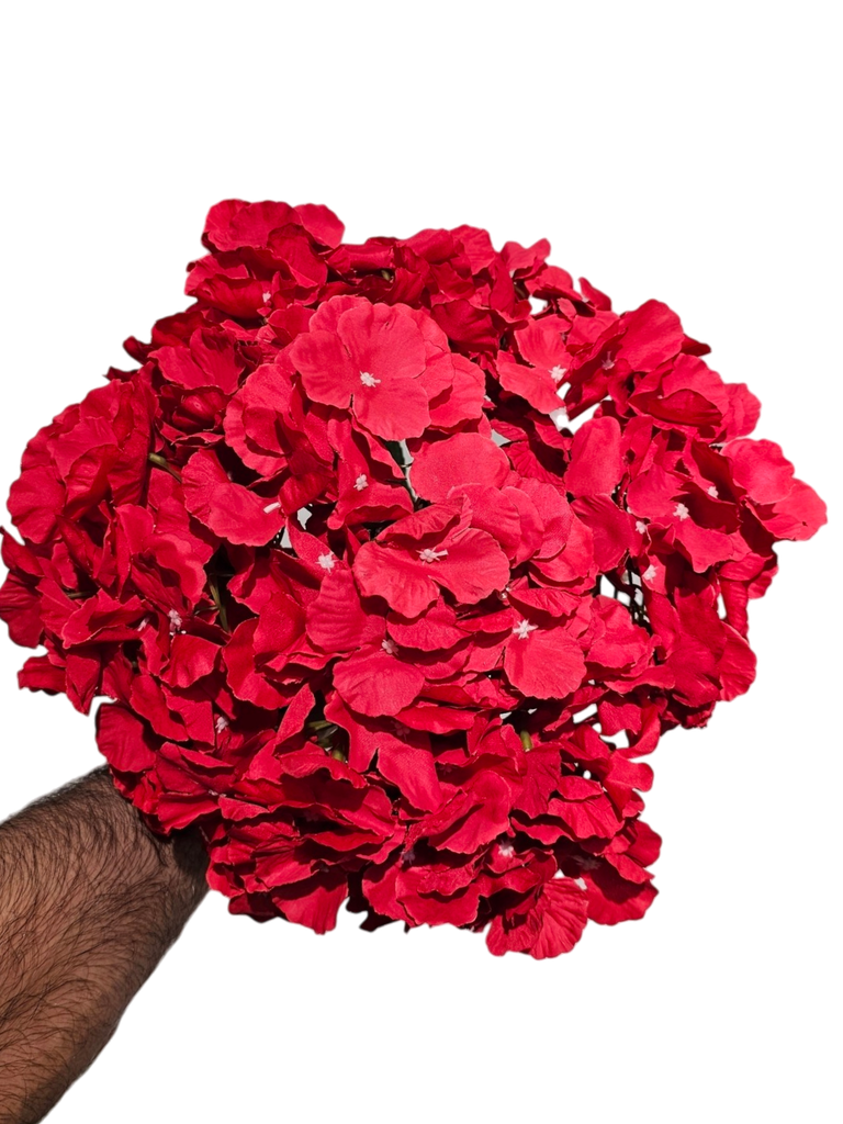 Red hydrangea