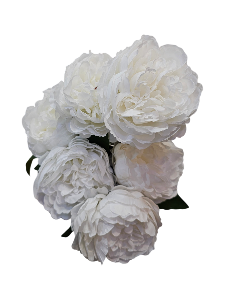 white peony