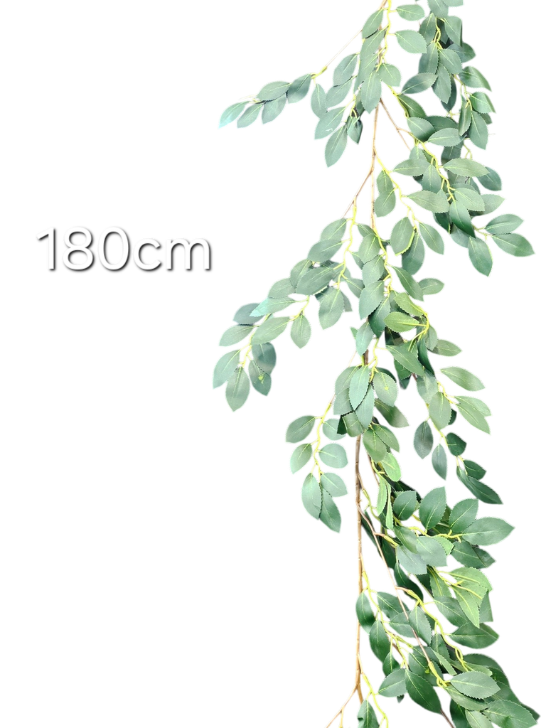180 cm leaves