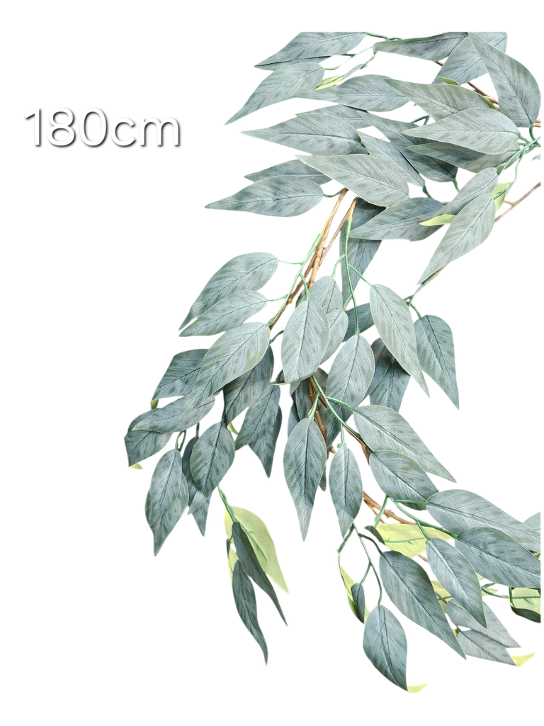 180 cm leaves