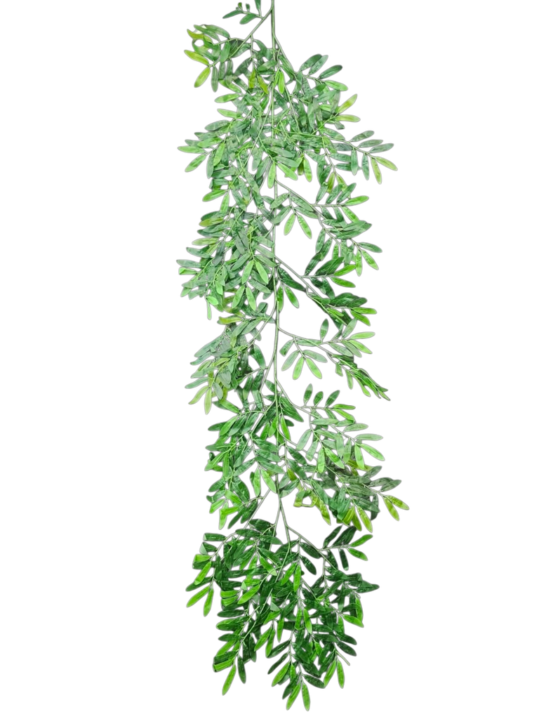 گەڵای 200 سانتیمەتر