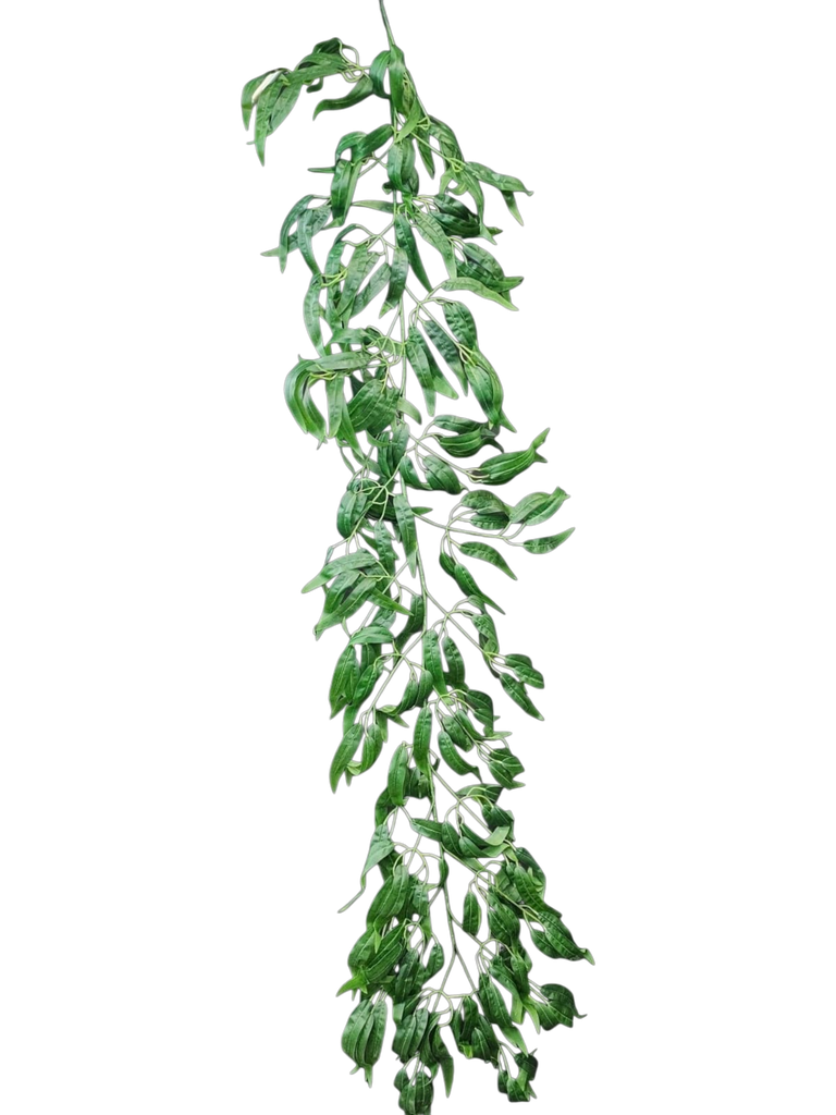 گەڵای 200 سانتیمەتر