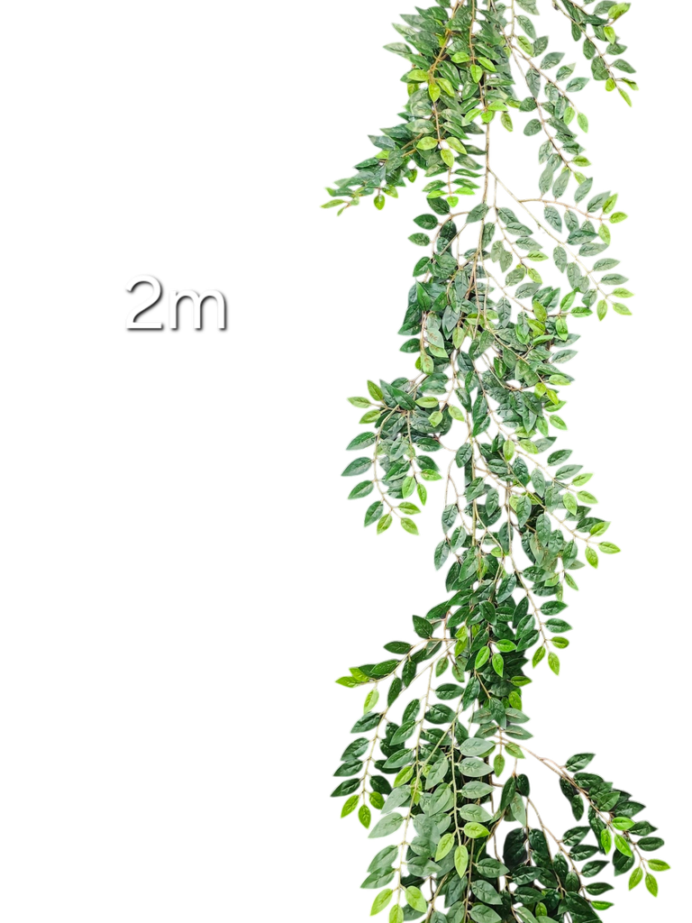 200 cm leaves