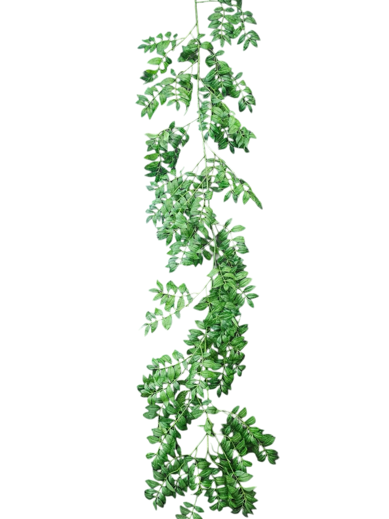 گەڵای 180 سانتیمەتر