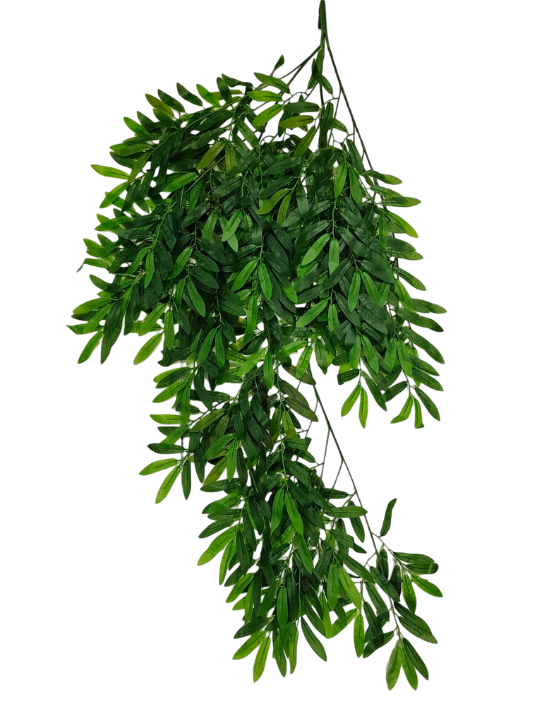 hanging leaves