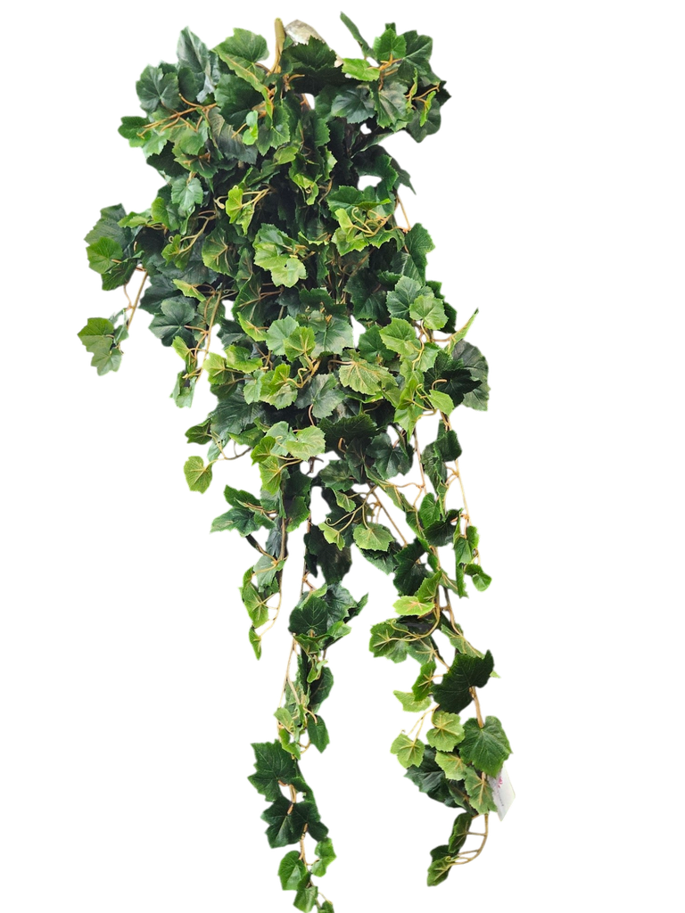 پەلی دار مێو