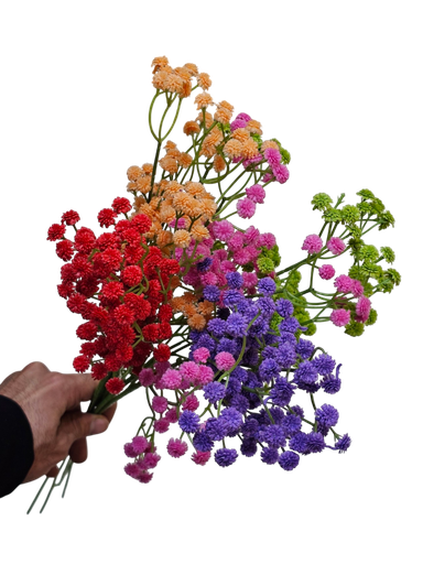 ألوان خليط التشيبسوفيليا