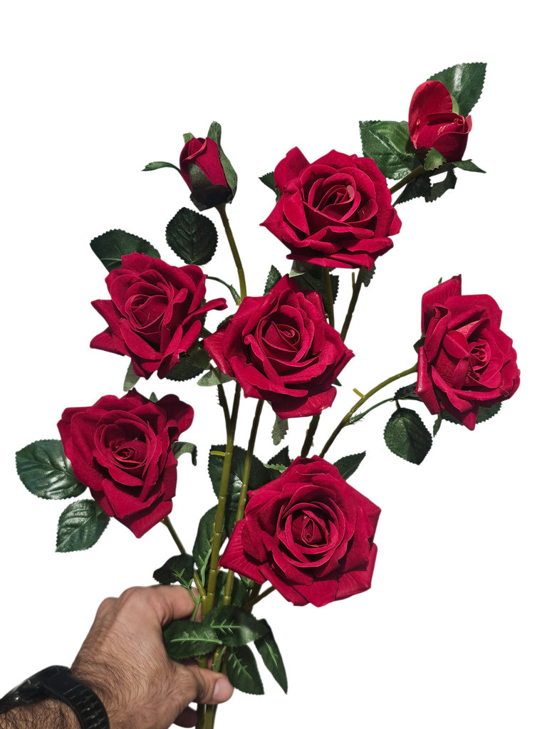 red rose