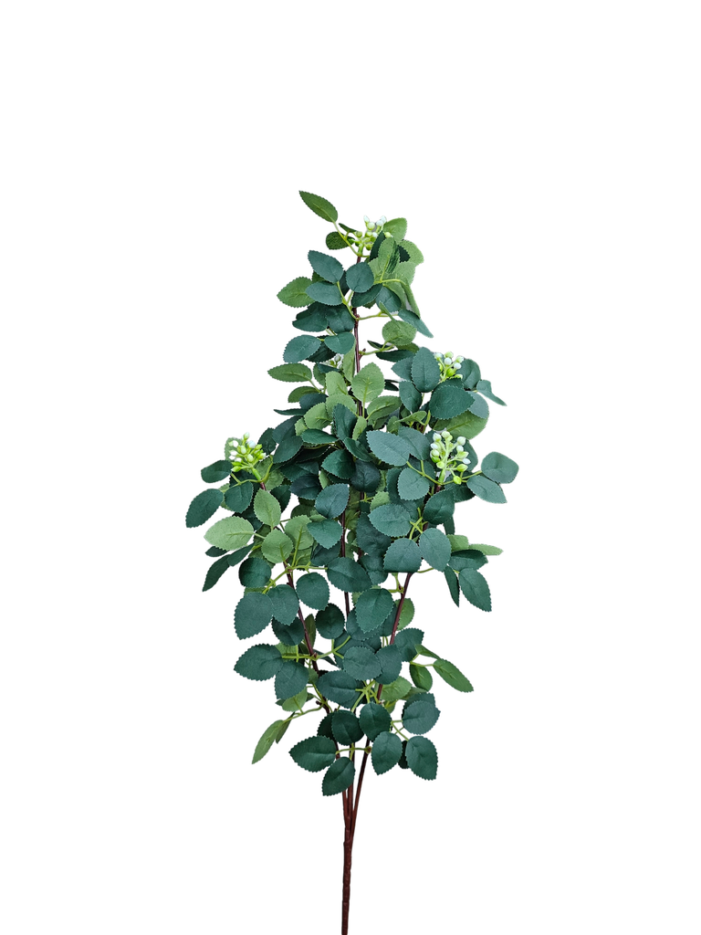 فروع الأوراق