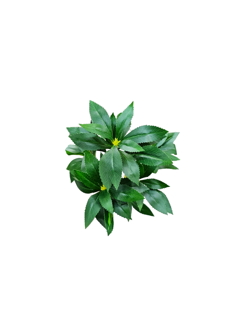 foliage branches