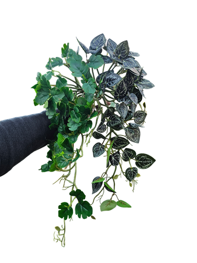 فروع الأوراق