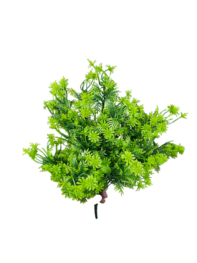 foliage branches