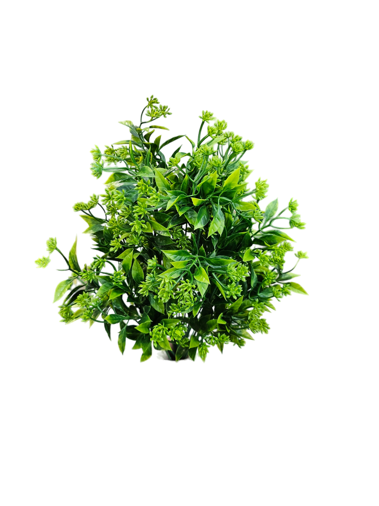 فروع الأوراق