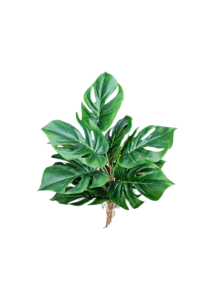 فروع الأوراق