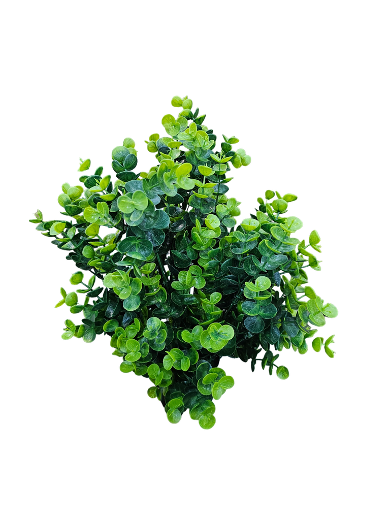 فروع الأوراق