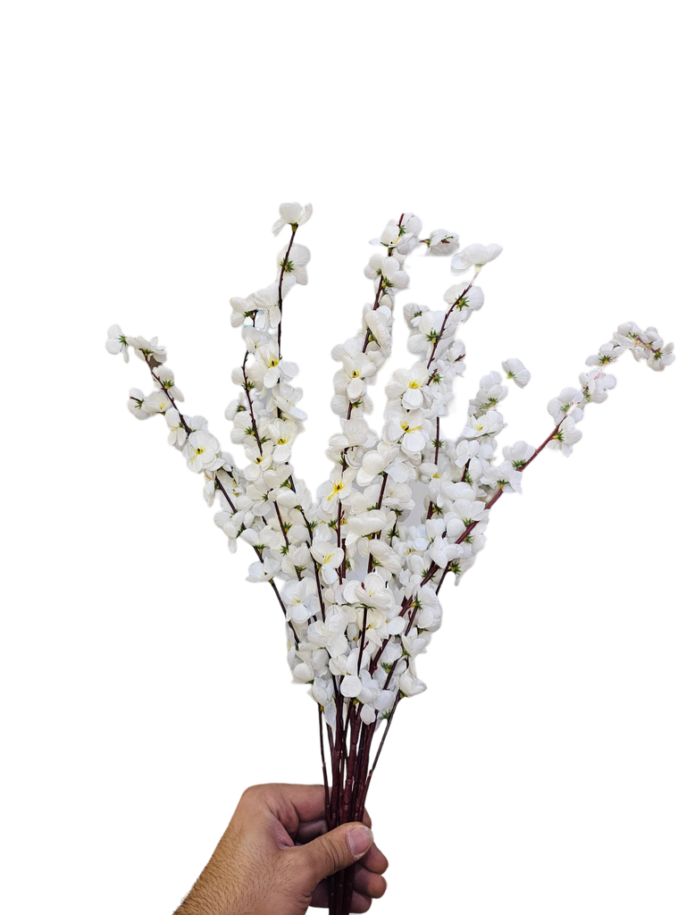 لقی خونچەی قۆخ