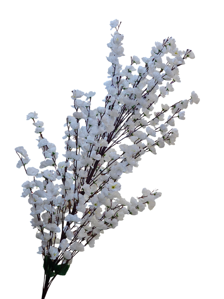 گوڵی گێلاس