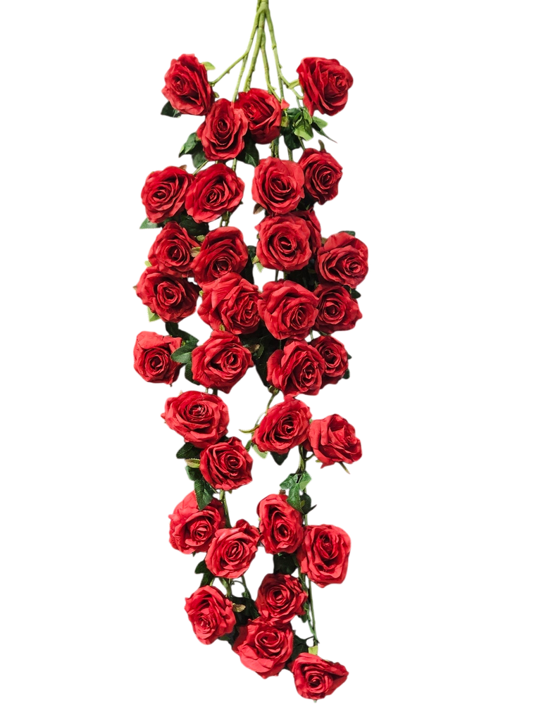 tall rose