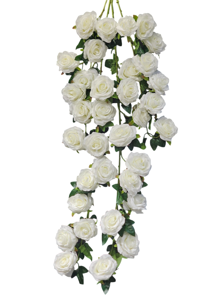 tall rose