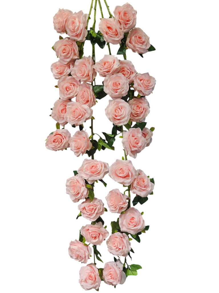 گوڵی درێژ