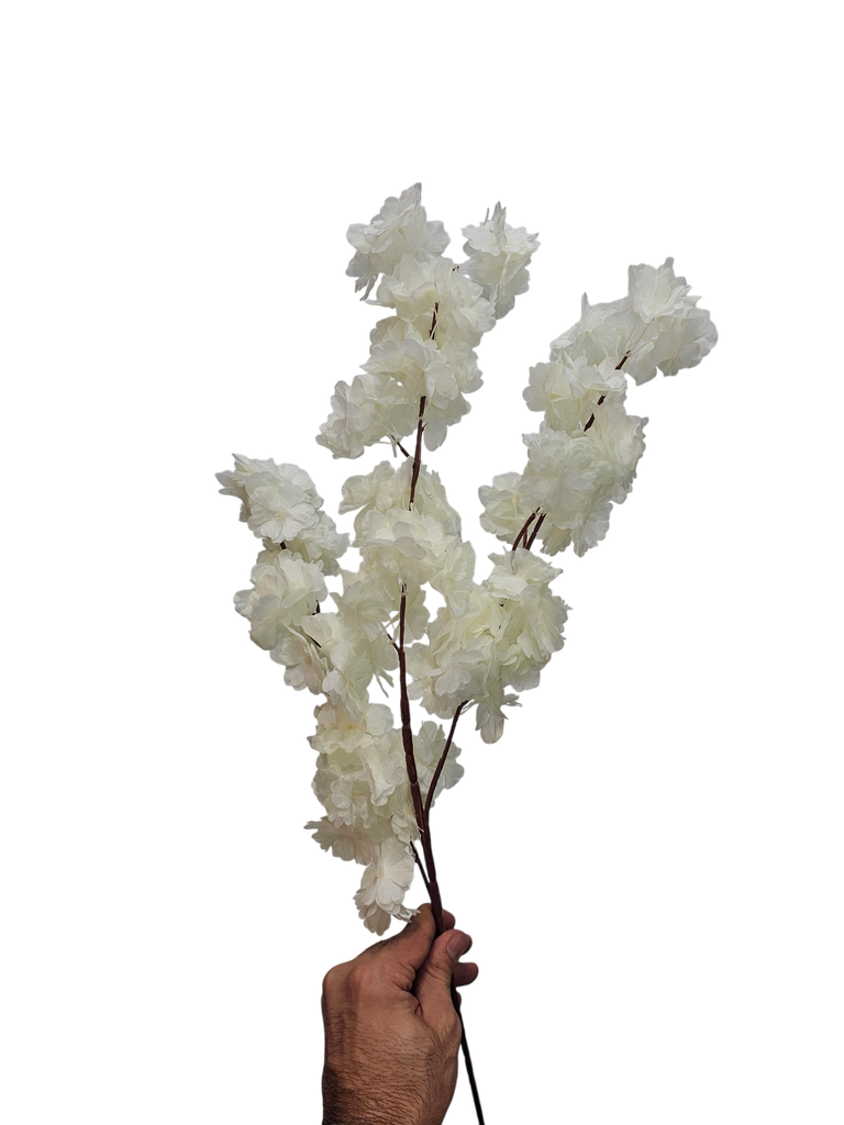 ذيل الثعلب الأبيض الفاتح