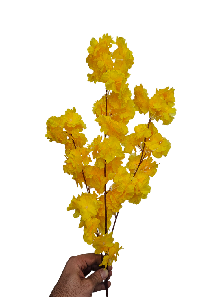 کلکی ڕێوی زەرد