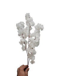 white fox tail