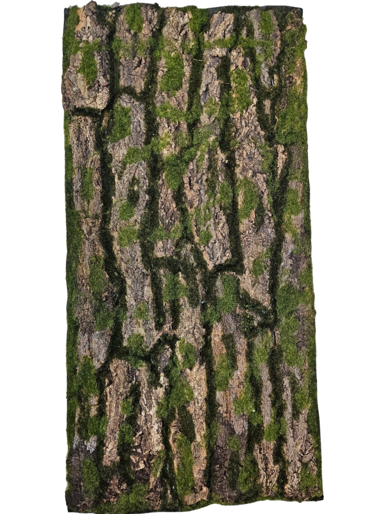 50 x 100 cm wood