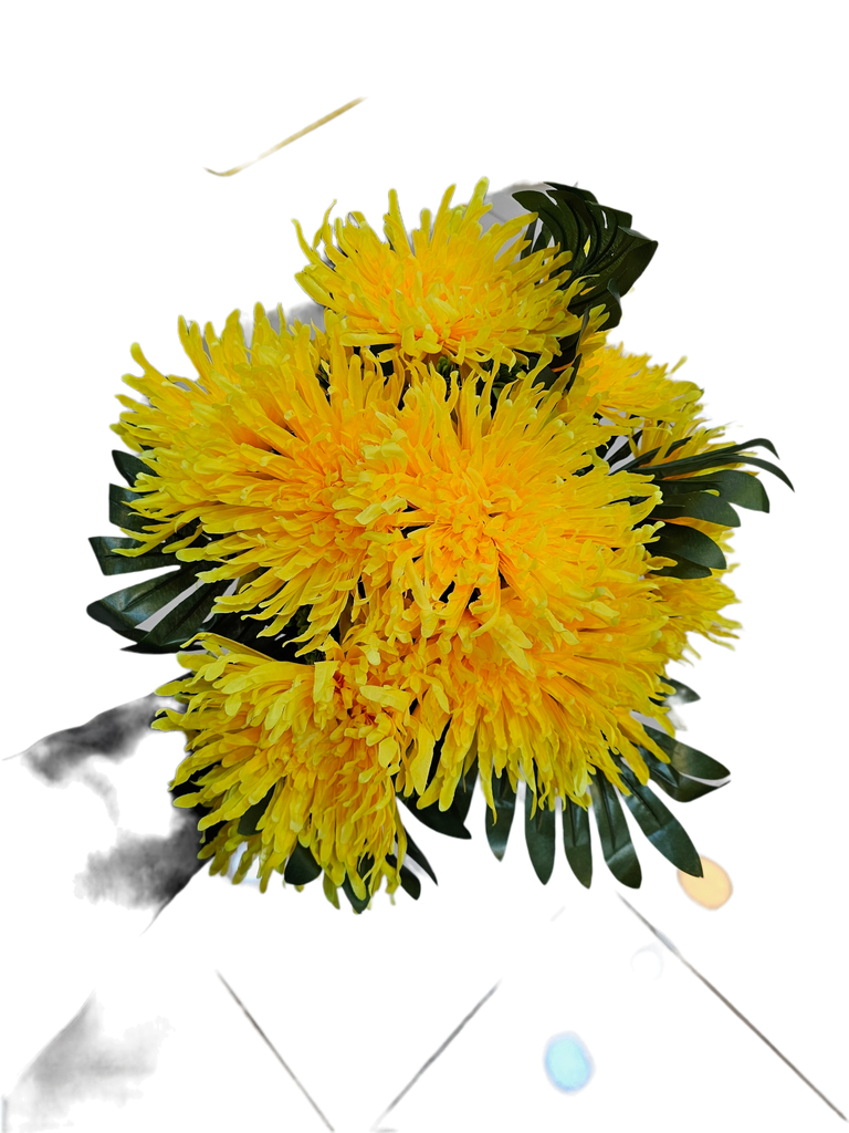 زهرة