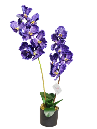Orchid flowers 80 cm
