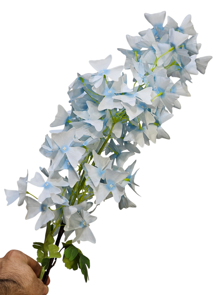 لقی گوڵەکان