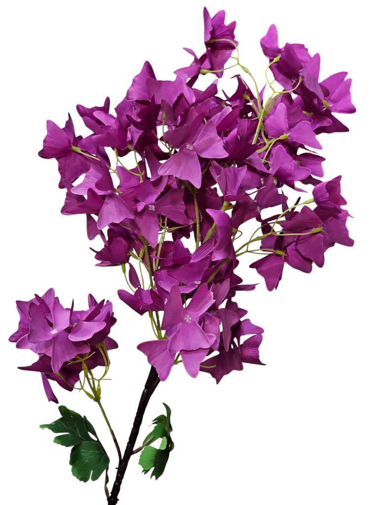 flowers branch