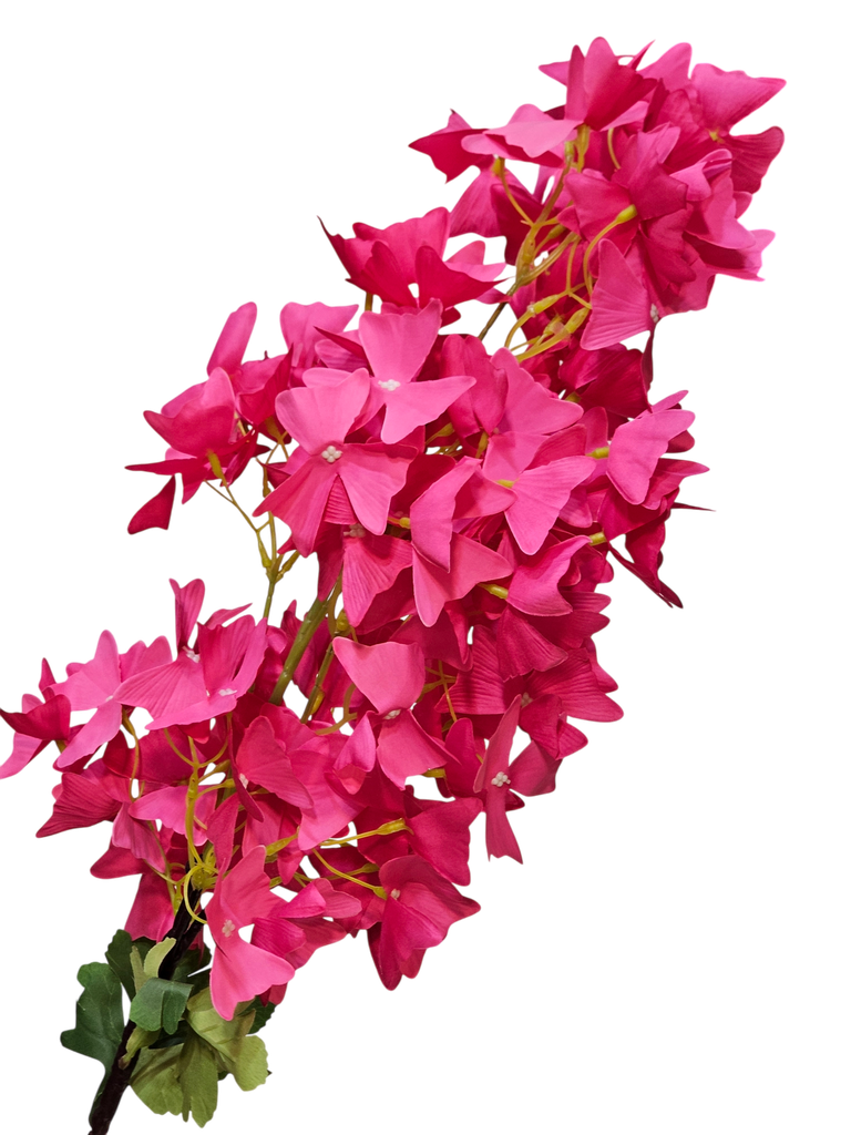 flowers branch