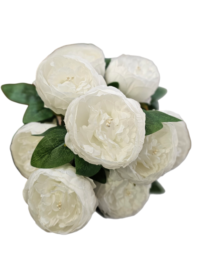 گوڵی پیۆنی سپی