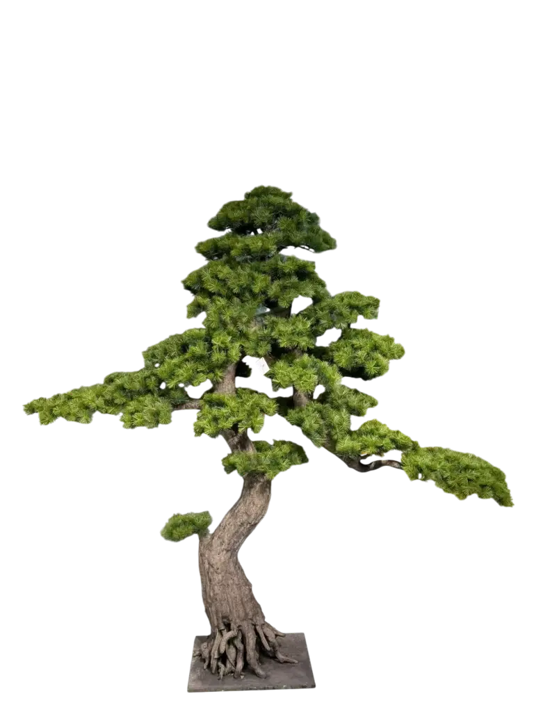 bonsai tree