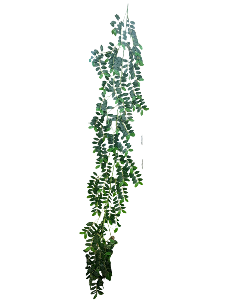 گەڵای 180 سانتیمەتر