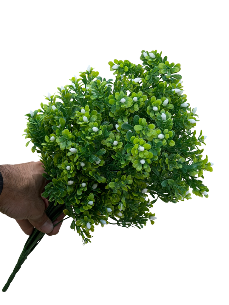 سەوزایی