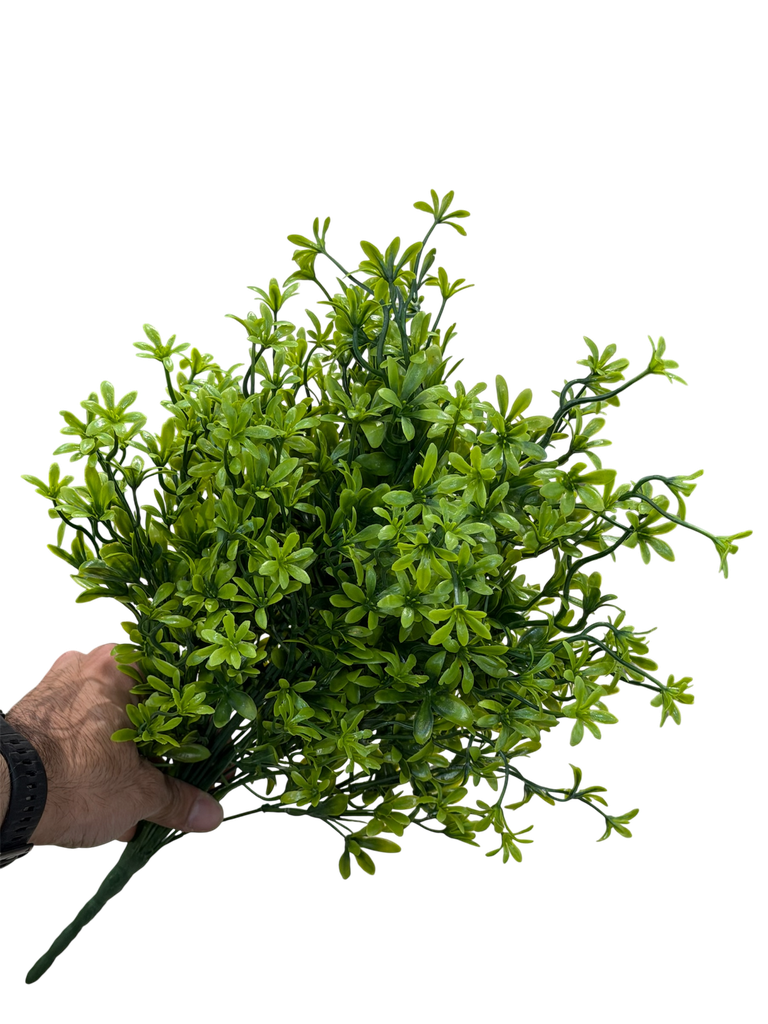 الخضرة