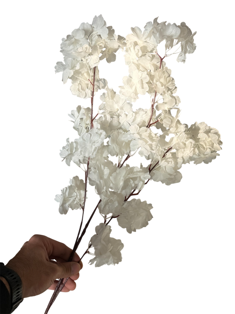 Foxtail