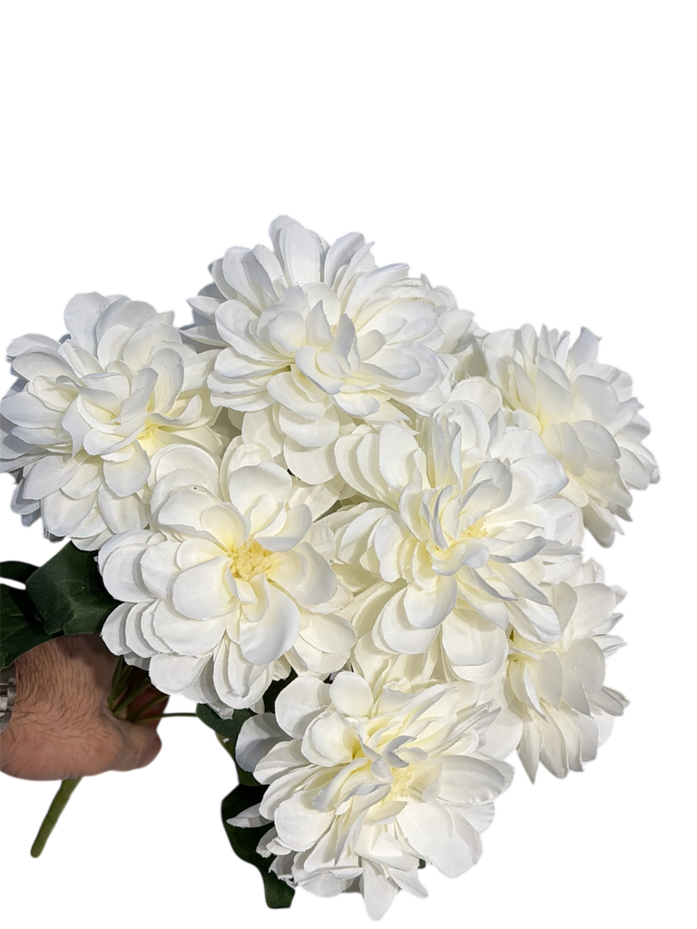Gerbera Offwhite