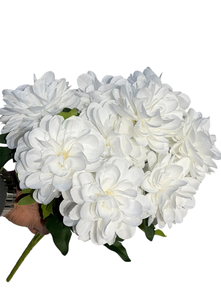 white  Gerbera flower