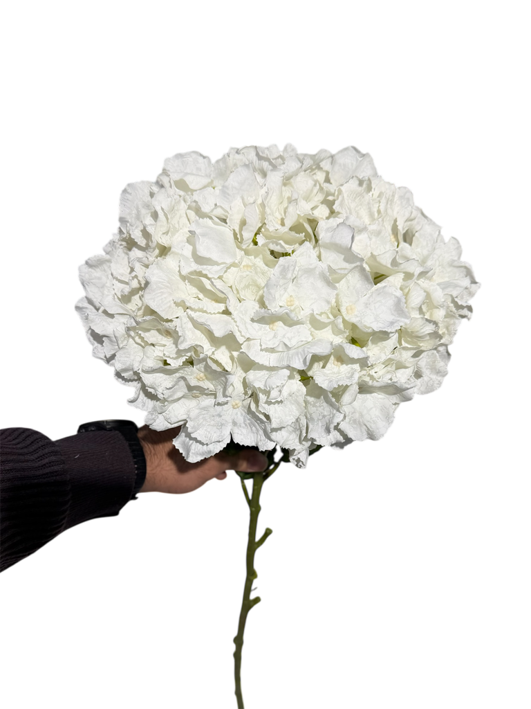 Ball Hydrangea