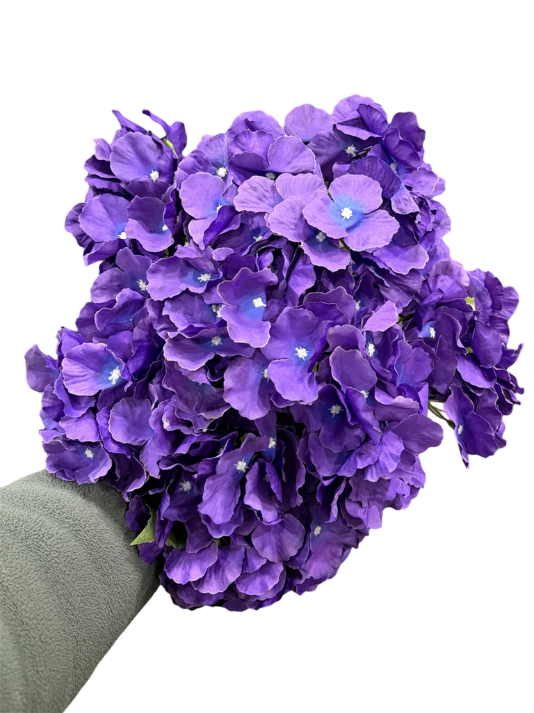 الهدرانج البنفسجي