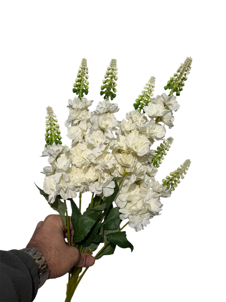 گوڵی ویستریا