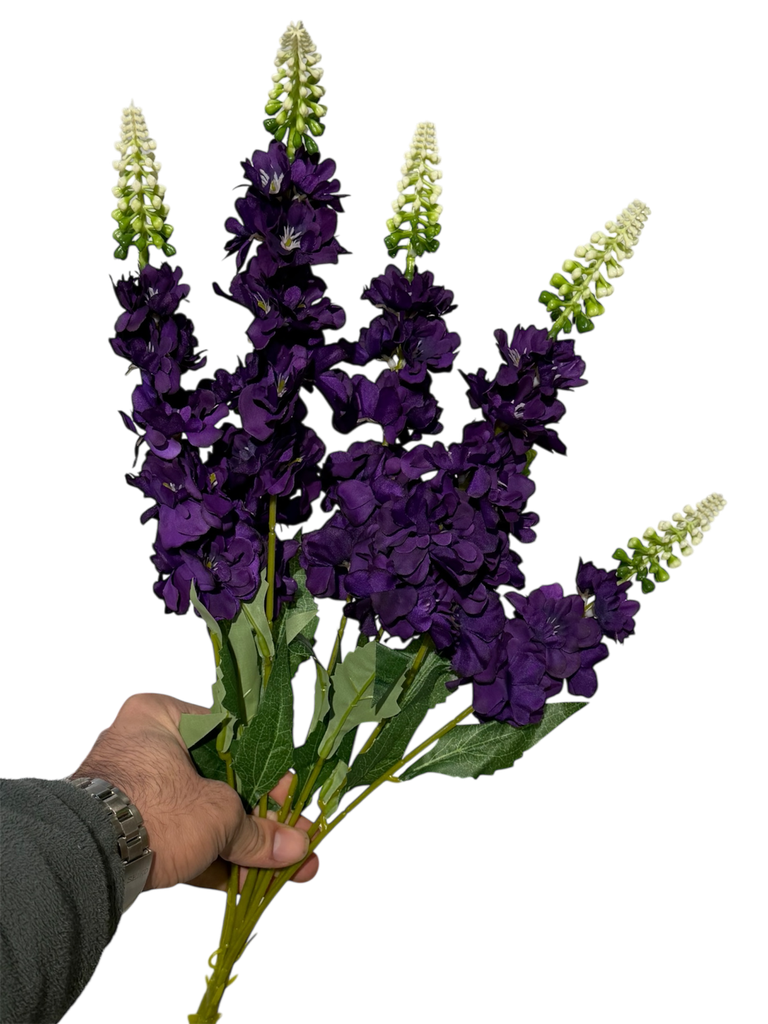 زهرة الوستارية