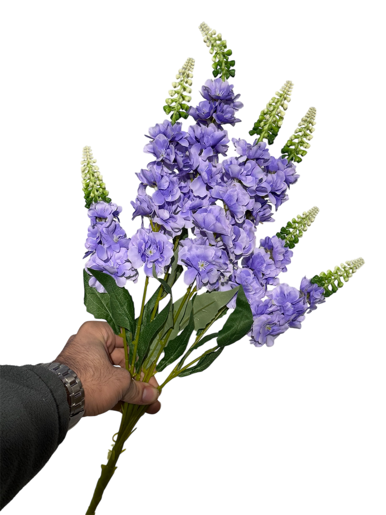 گوڵی ویستریا