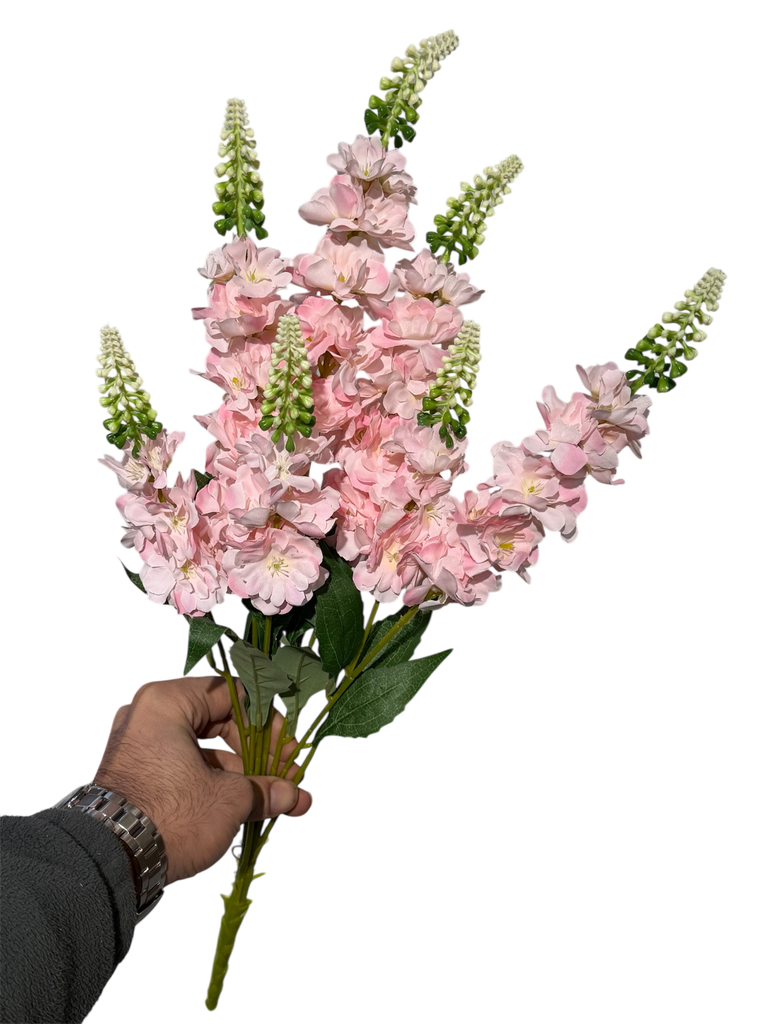 گوڵی ویستریا